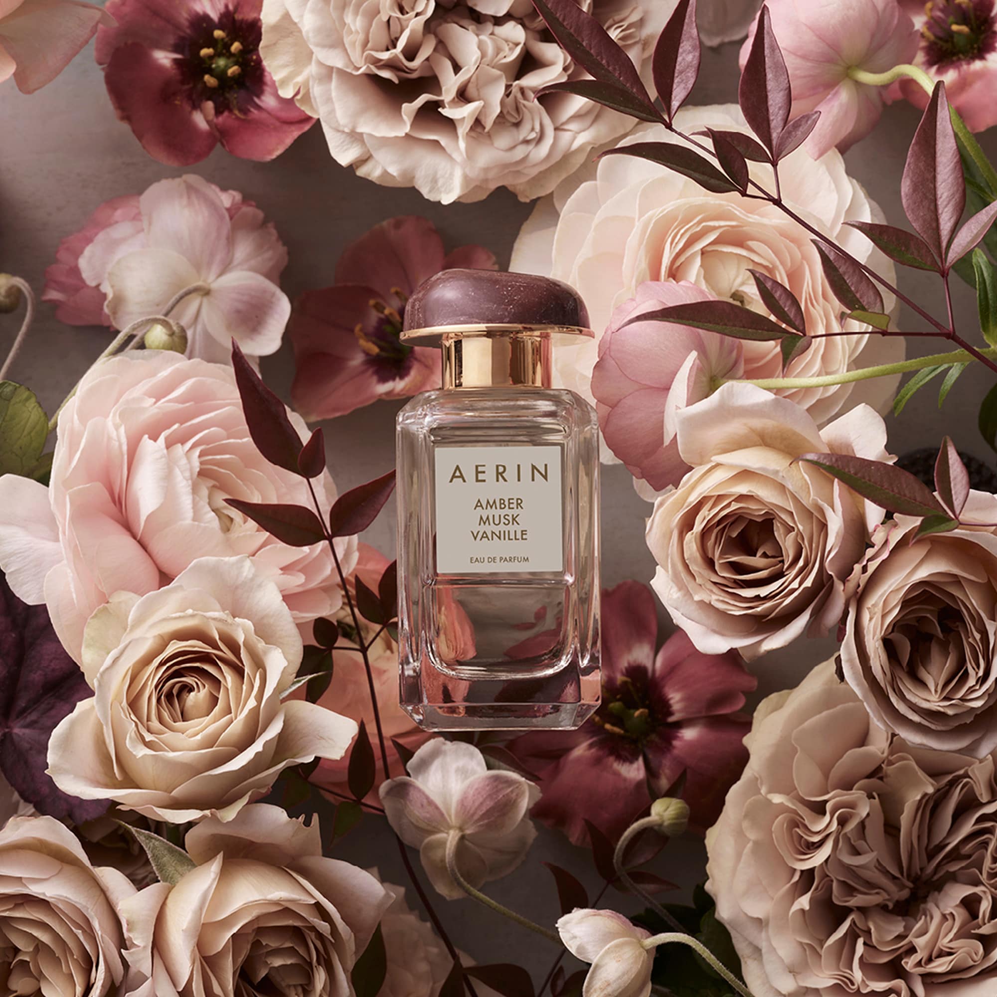 AERIN Amber Musk Vanille Eau de Parfum Spray - Image 2