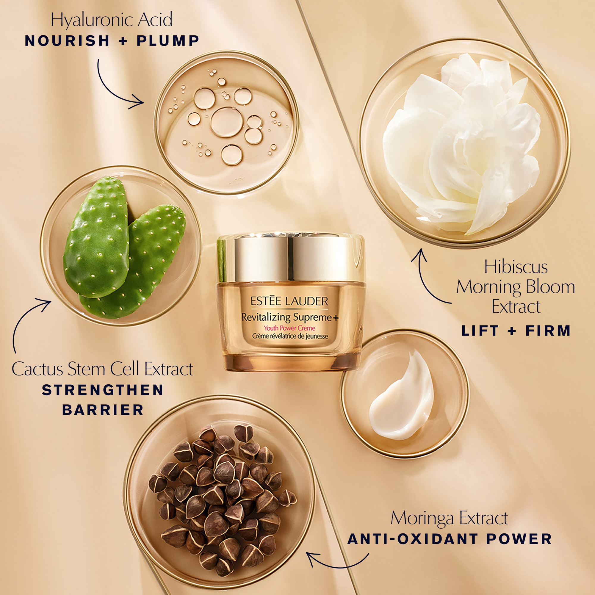 Revitalizing Supreme+ Moisturizer Youth Power Creme - Image 4