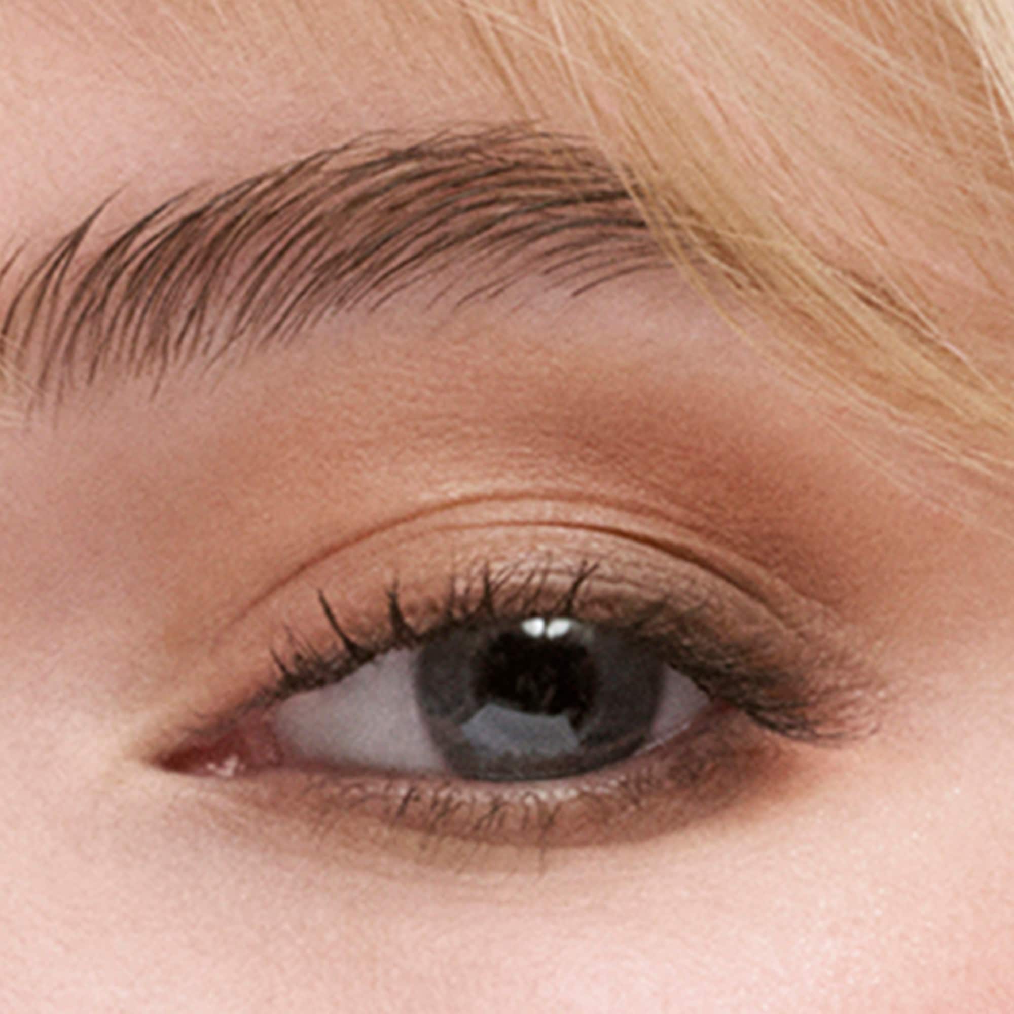 The Essential Eyeshadow Quad Refill - Image 11